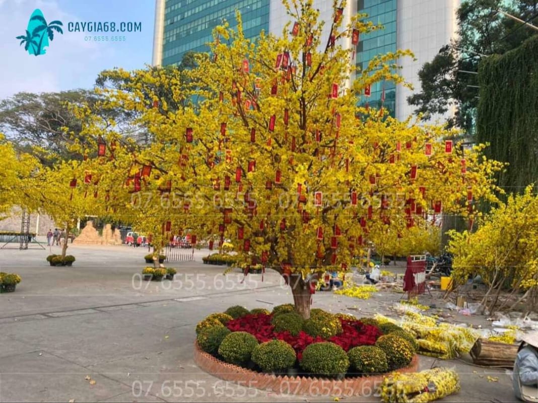 Cây Mai Giả