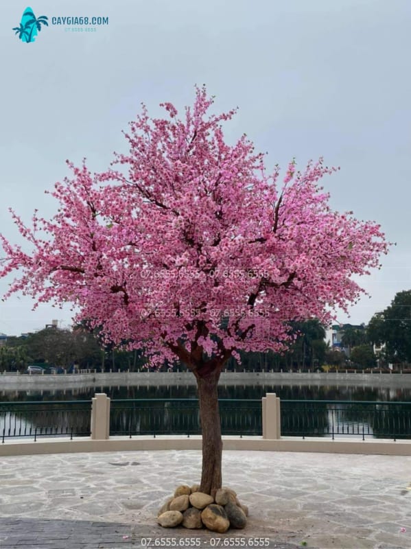 Cây Hoa Anh Đào Giả