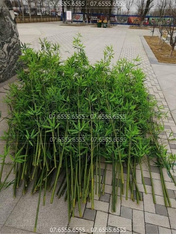 Cây Trúc Giả