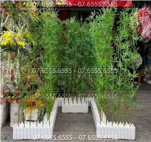 Cây Trúc Giả
