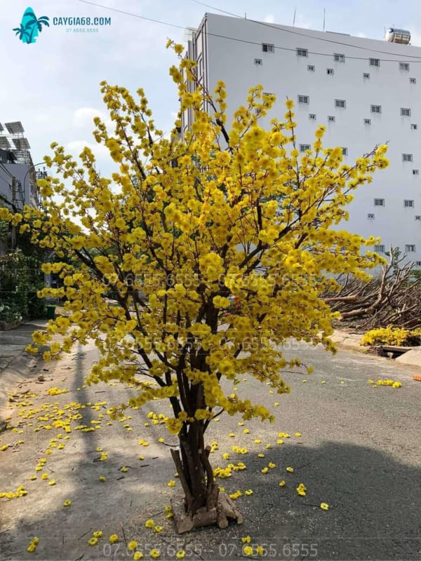 Cây Mai Giả