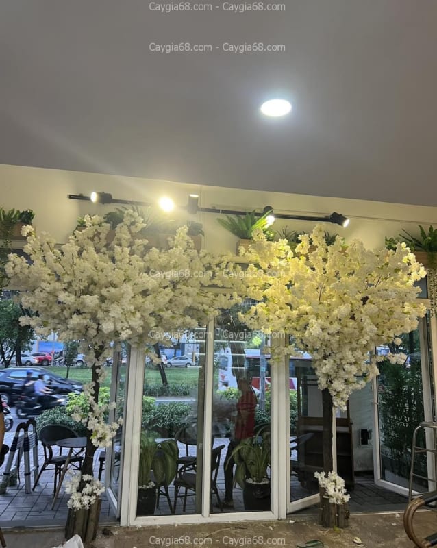 CÂY CỔ THỤ GIẢ