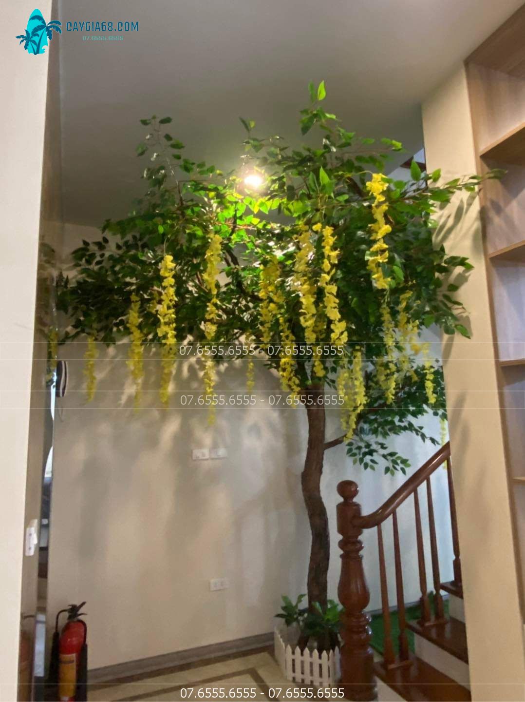 cay-hoa-tu-dang-tphcm