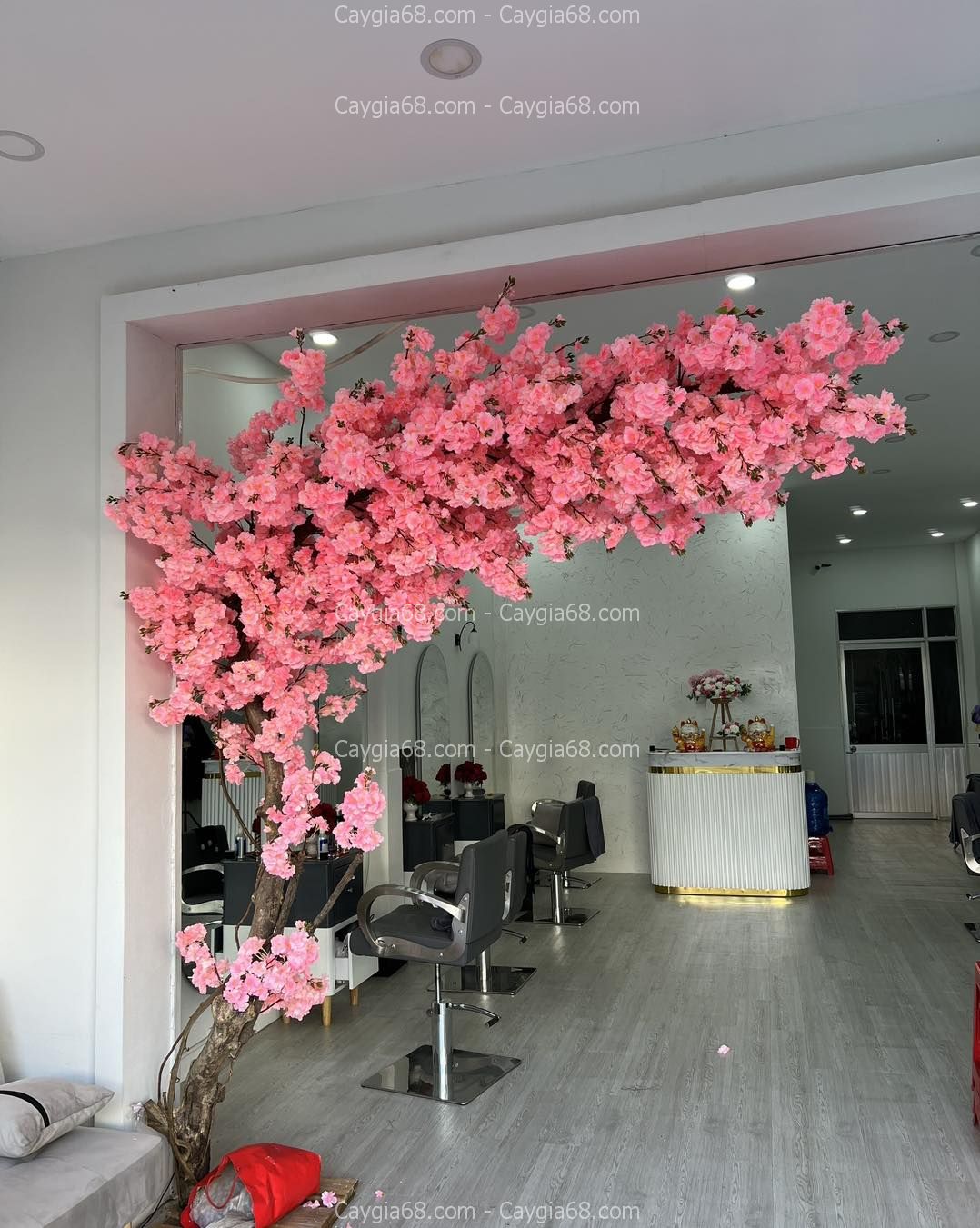 cay-hoa-anh-dao-gia-trang-tri-quan-spa-1