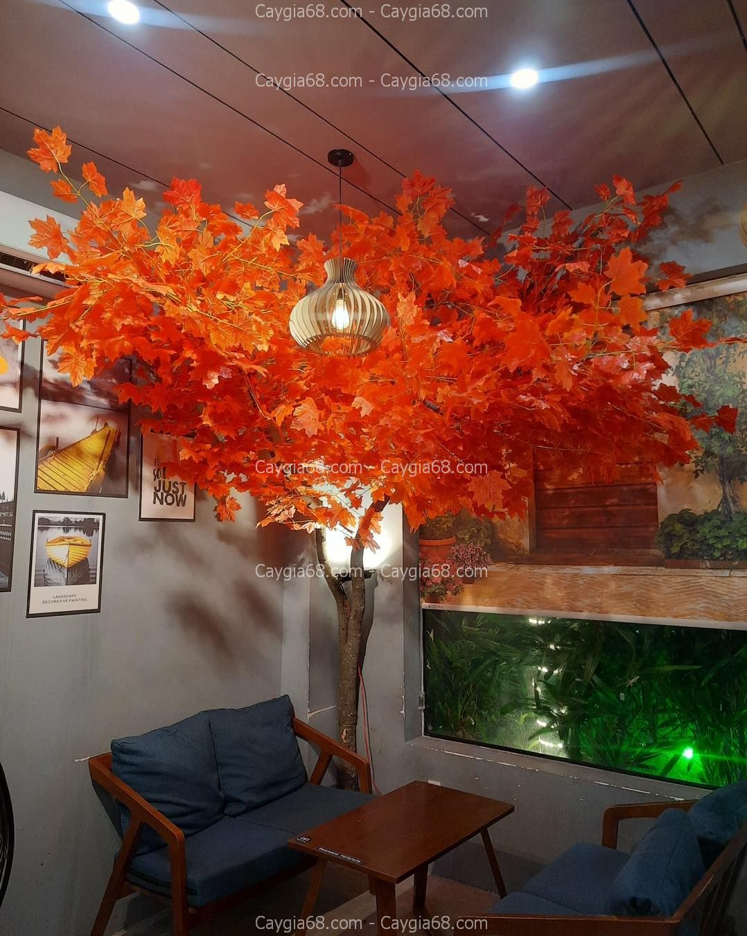 cay-phong-gia-decor-quan-cafe
