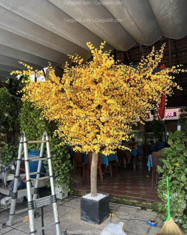chậu cây mai giả