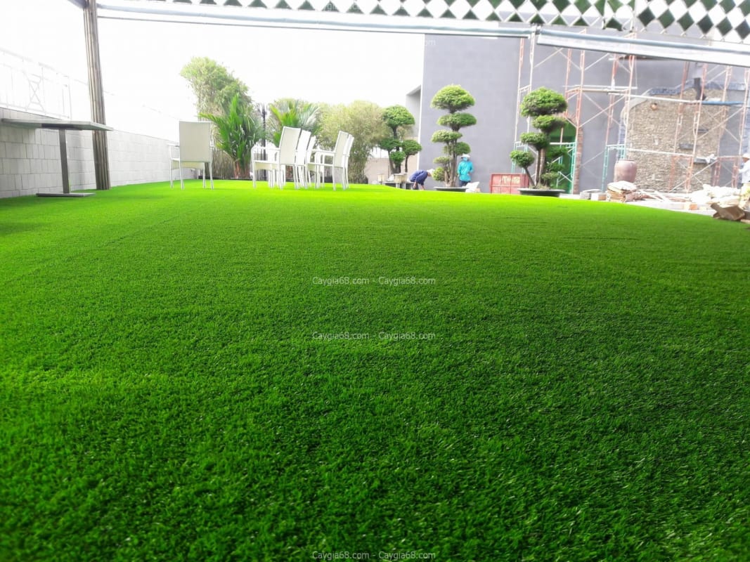 Thảm cỏ giả giá rẻ
