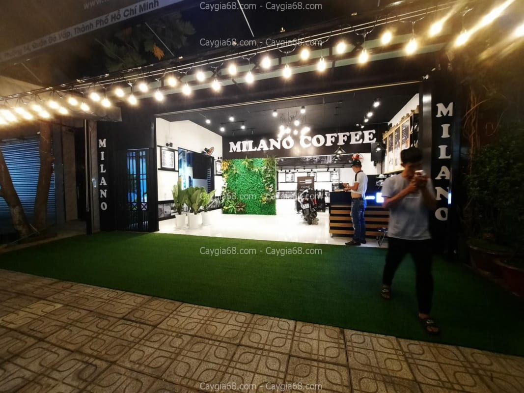 Tường cây giả quận 10 hồ chí minh