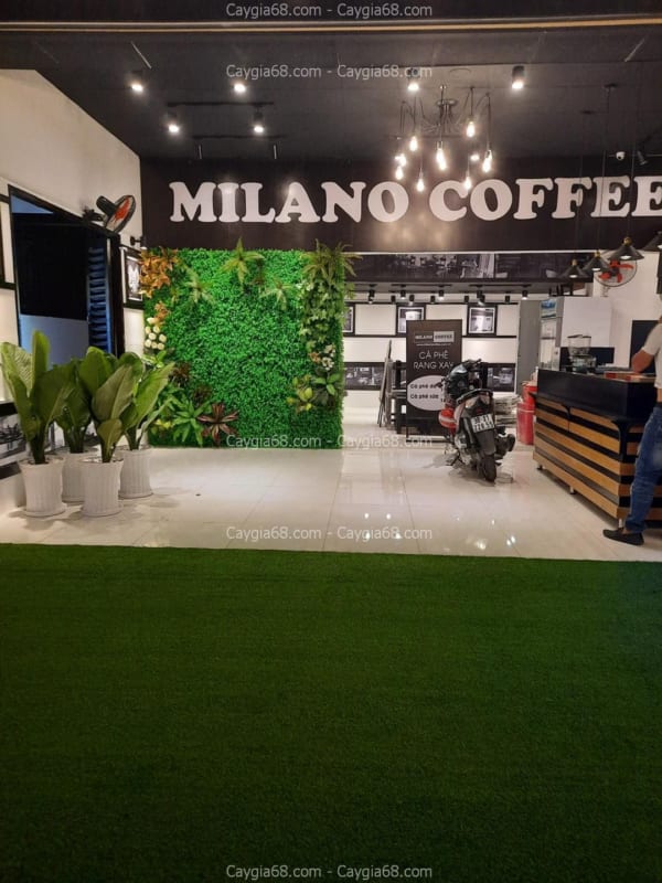 Tường cây giả quận 10 hồ chí minh
