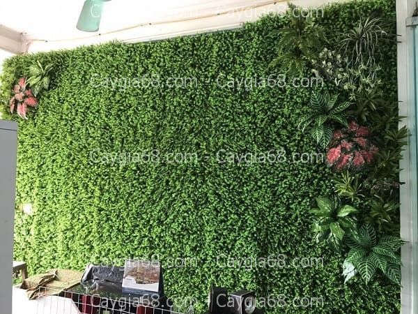 Tường cây giả quận 12 hồ chí minh Tường cây giả quận 12 hồ chí minh