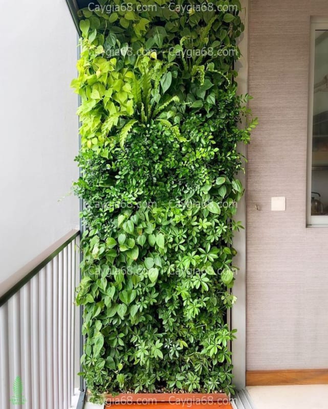 Tường cây giả quận Phú Nhuận