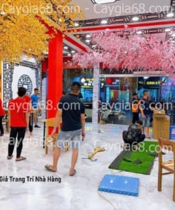cay hoa anh dao gia trang tri