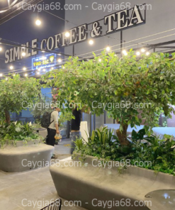 cay la xanh gia