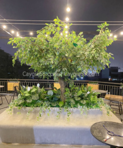 cay la xanh gia
